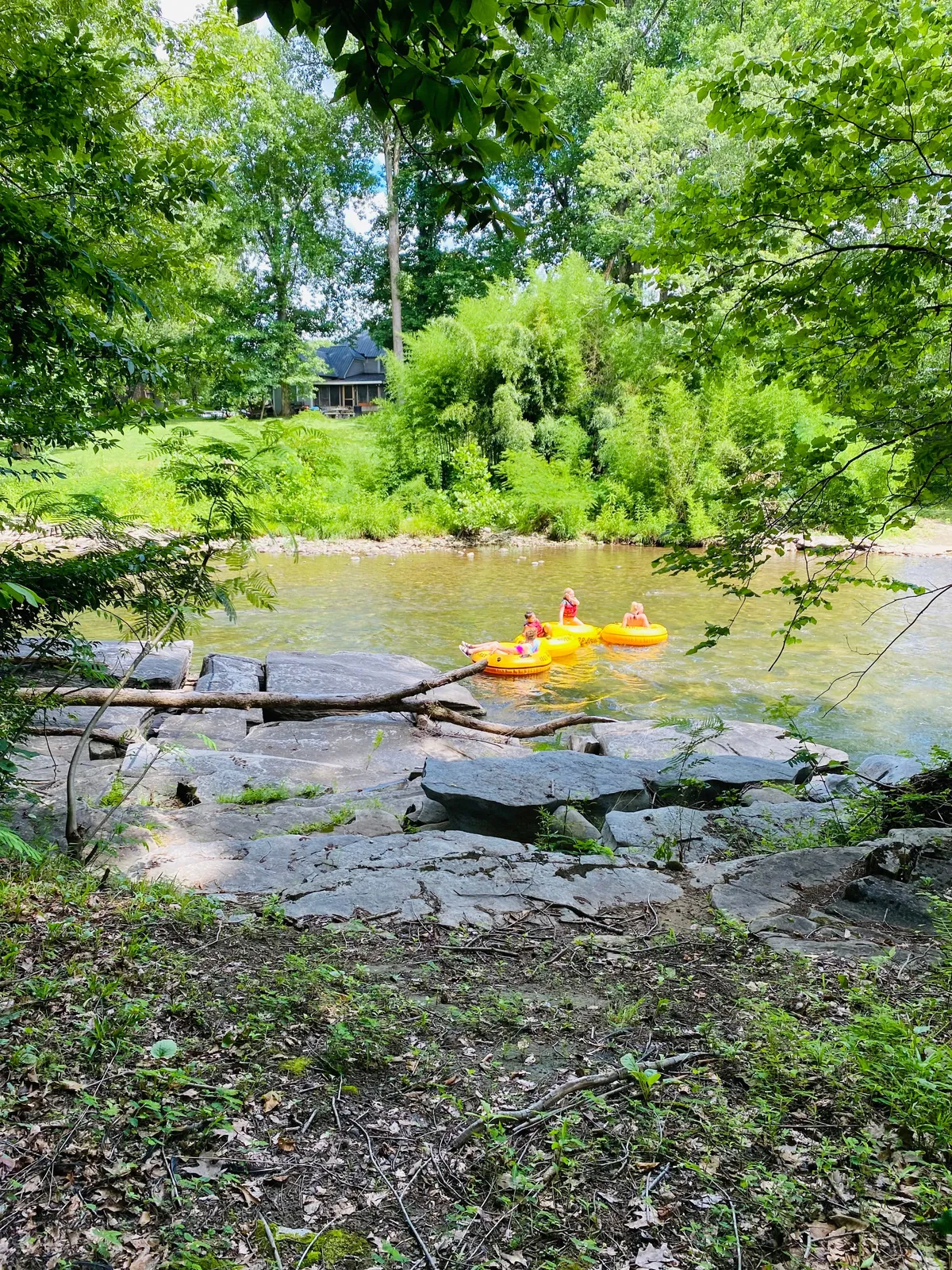 The image shows kayakers in bright yellow kayaks paddling along a lush, tree-lined river. The scene is vibrant and alive with the spirit of outdoor adventure, emphasizing both active fun and moments of bonding in nature.