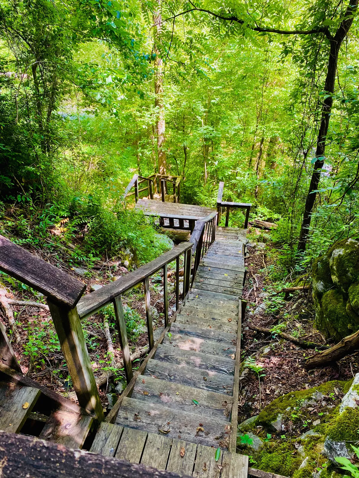A serene scene of wooden stairs winding through lush greenery and stone outcroppings, inviting guests to embark on nature walks and local hikes right from the property. The setting is peaceful and hints at the proximity to hiking trails and natural exploration.